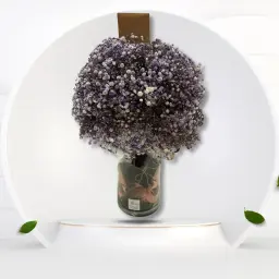 Purple Gypsophila Vase